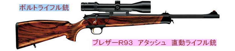 1347596405344_blaser_r93_attache_nuki5b15d.jpg